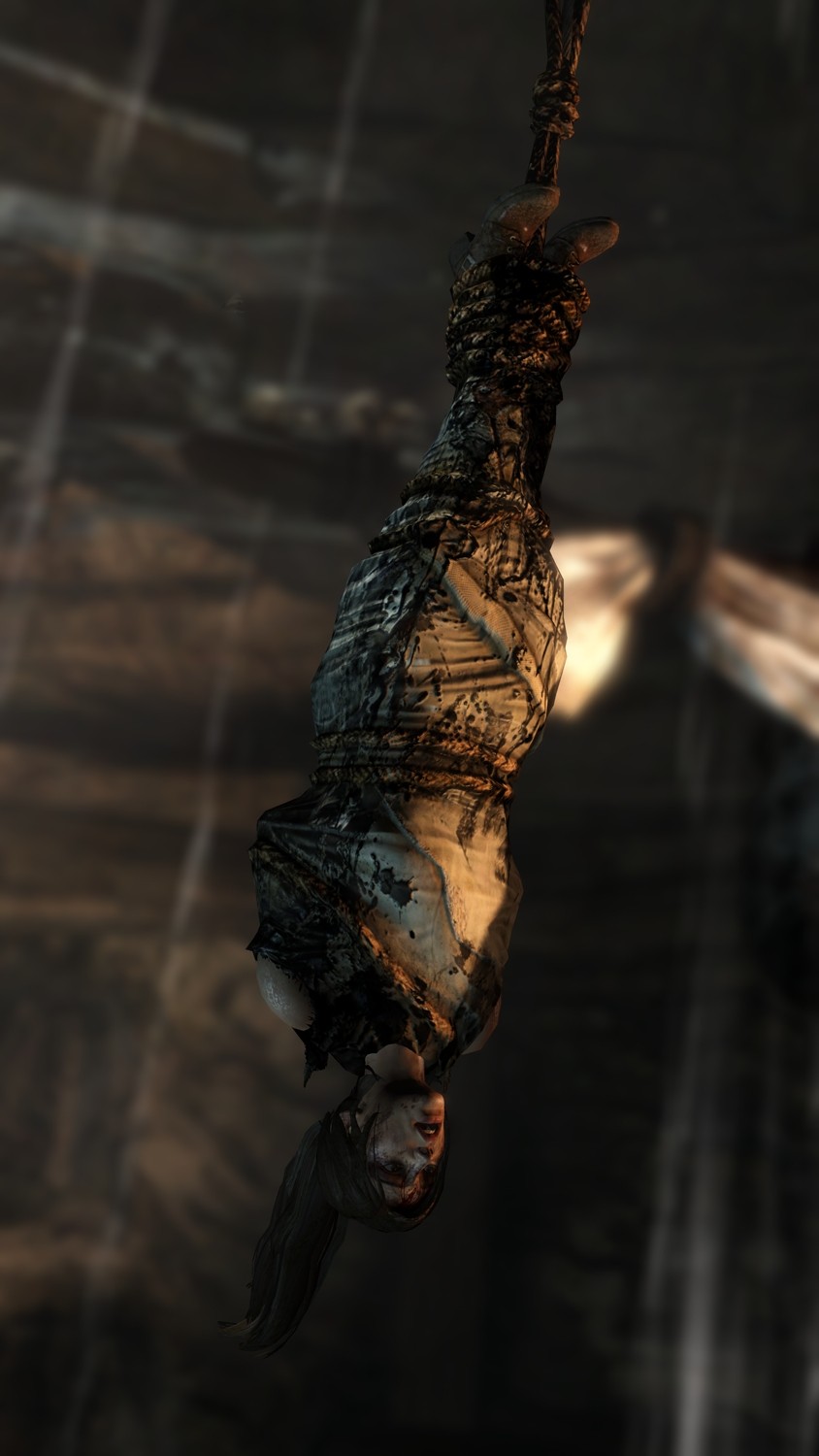 Tomb Raider (Edición Superviviente)